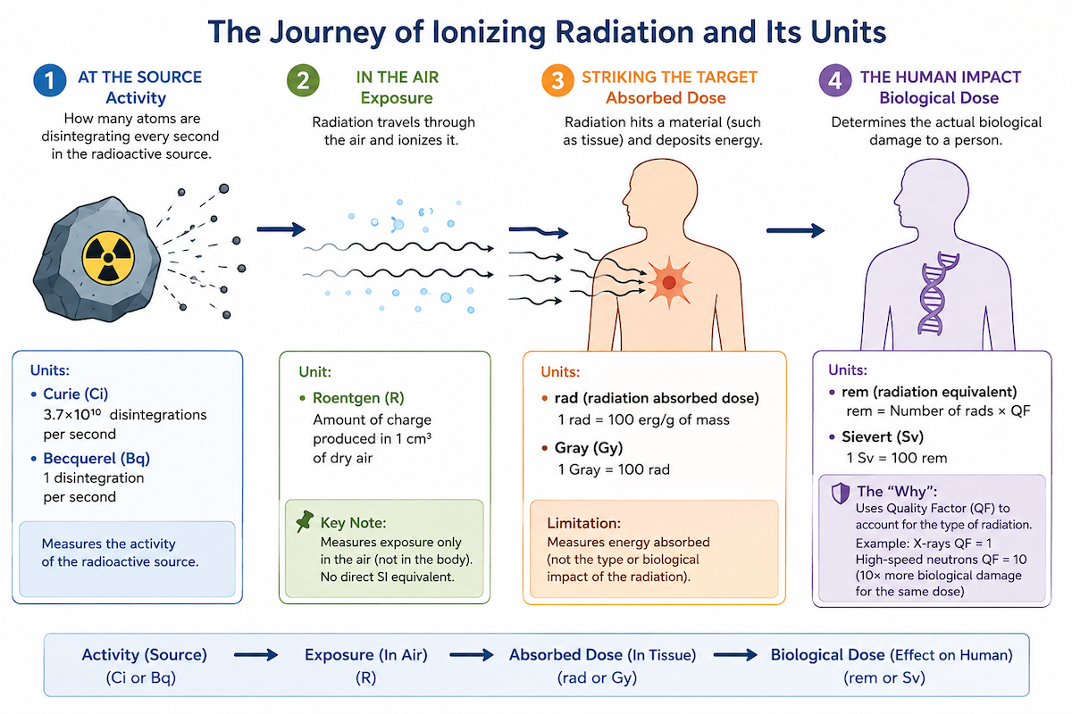 The Journey of Ionizing Radiation and Its Units — four stages: Activity at the source (Curie/Becquerel), Exposure in the air (Roentgen), Absorbed Dose striking the target (rad/Gray), and Biological Dose (rem/Sievert)